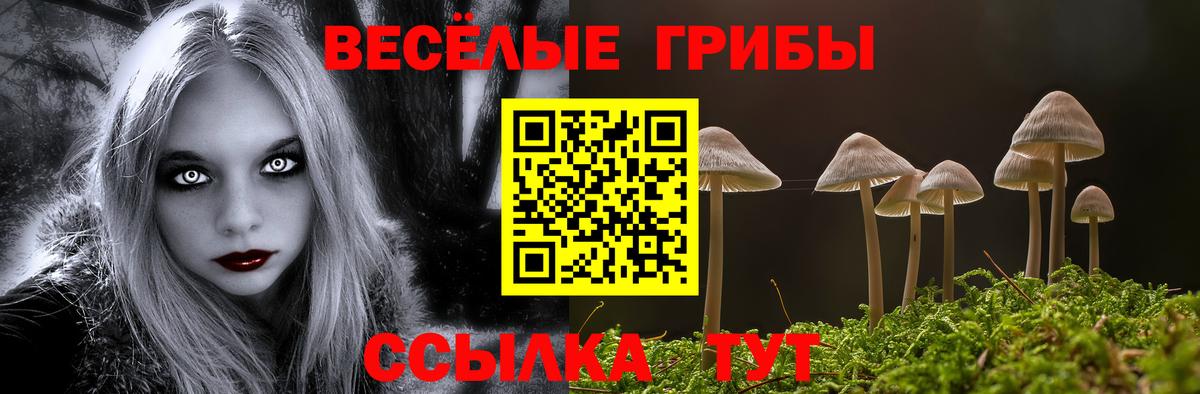 Галлюциногенные грибы MAGIC MUSHROOMS Туймазы